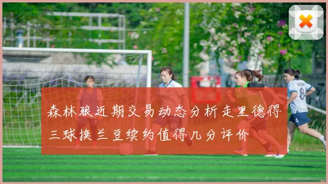森林狼近期交易动态分析走里德得三球换兰豆续约值得几分评价